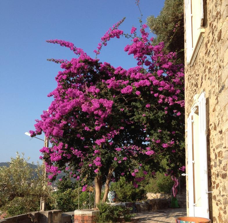 Castel Pierre Lisse Hotel Hyères Buitenkant foto